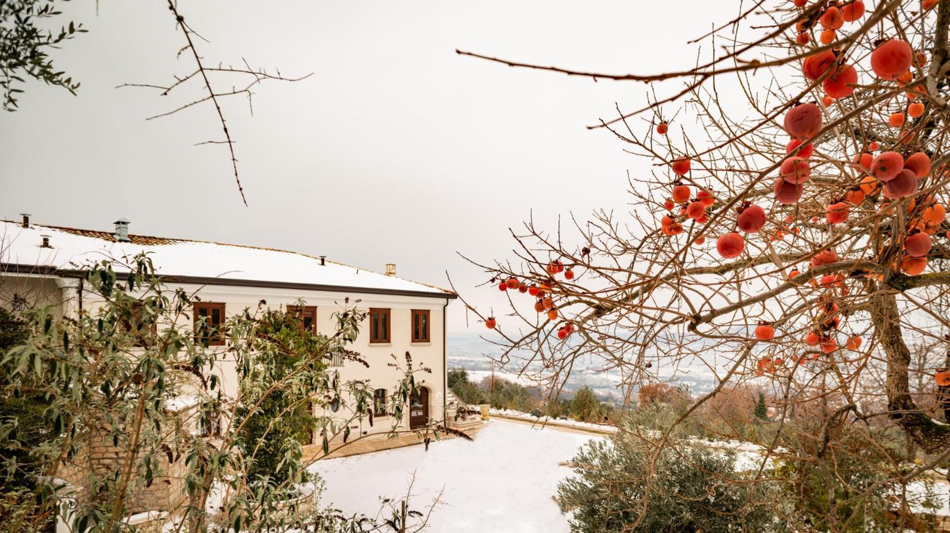 Il Mulino Della Signora Luxury Country House Frigento Zewnętrze zdjęcie